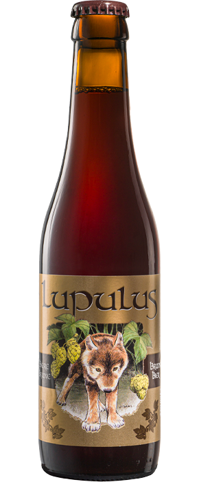 img-lupulus-brune-33